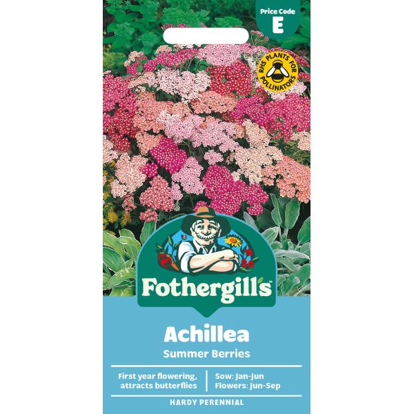 Achillea Summer Berries F2 Seeds