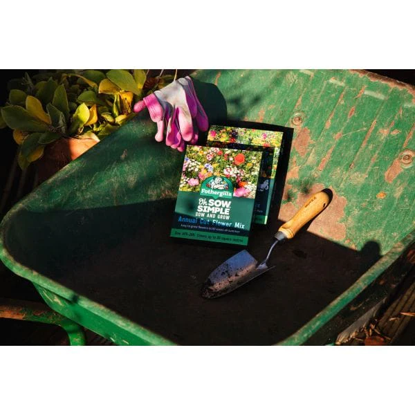 Annual Cut Flower Seed Mix - Image 2