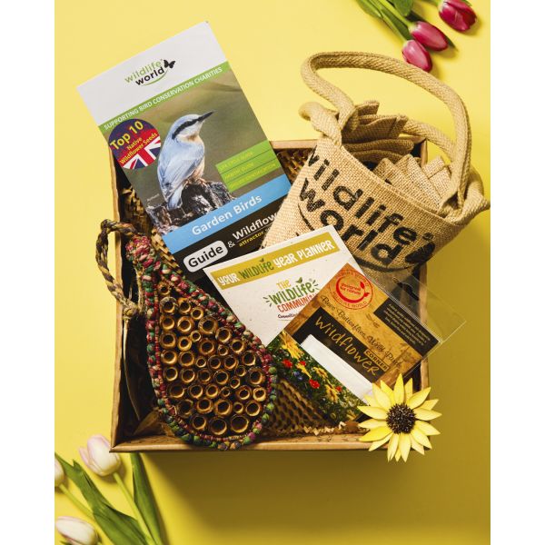 Artisan Bee Nester Gift Box