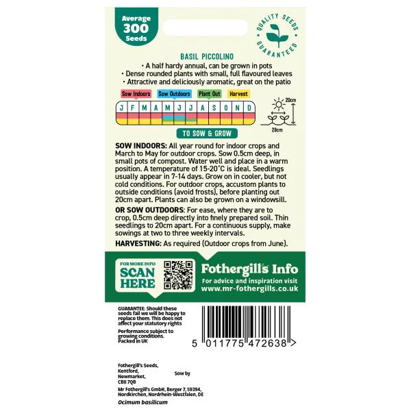 Basil Piccolino Seeds - Image 2
