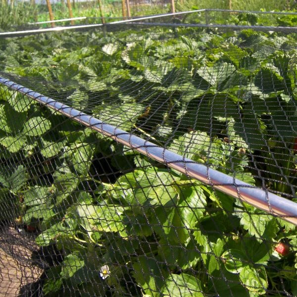 Bird Plant Protection Netting - Image 5