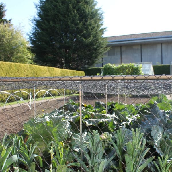 Bird Plant Protection Netting - Image 6