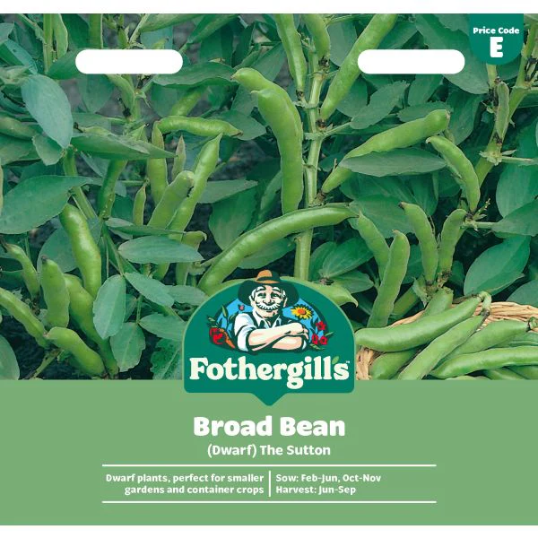 Broad Bean The Sutton Seeds