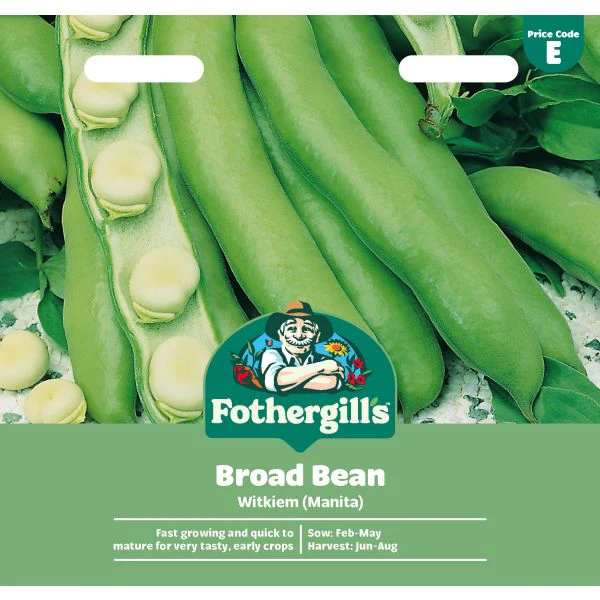 Broad Bean Witkiem Manita Seeds