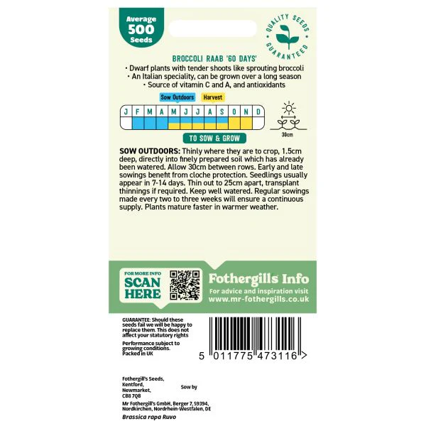 Broccoli raab ‘60 days' Seeds - Image 2