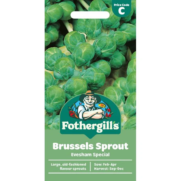 Brussels Sprout Evesham Special Seeds