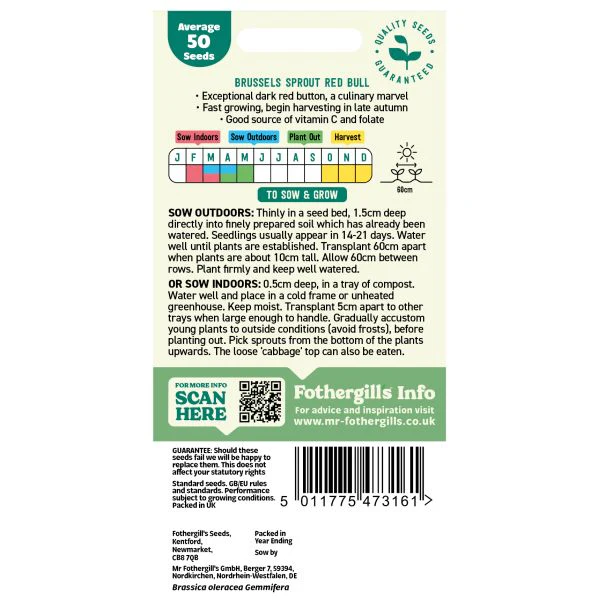 Brussels Sprout Red Bull Seeds - Image 2