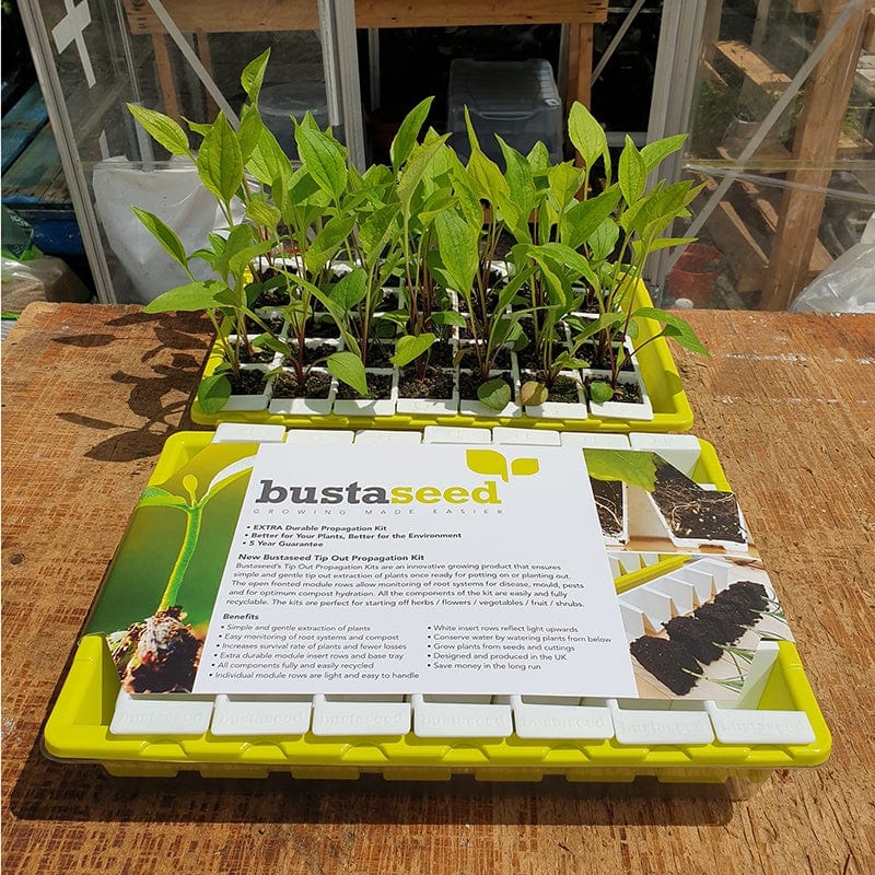 Bustaseed Propagation Tray - Image 2