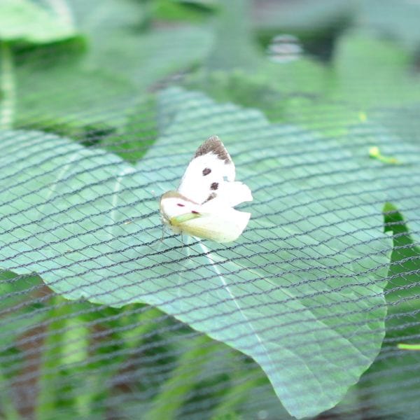 Butterfly Plant Protection Netting - Image 2