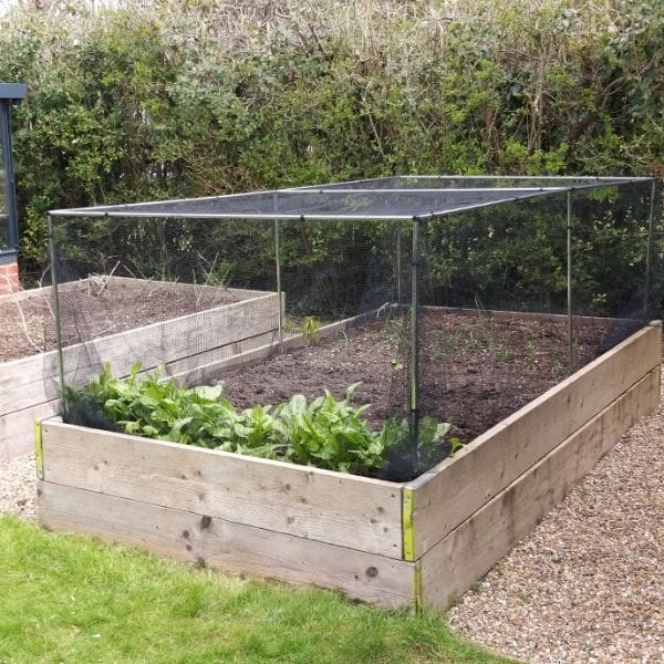 Butterfly Plant Protection Netting - Image 6