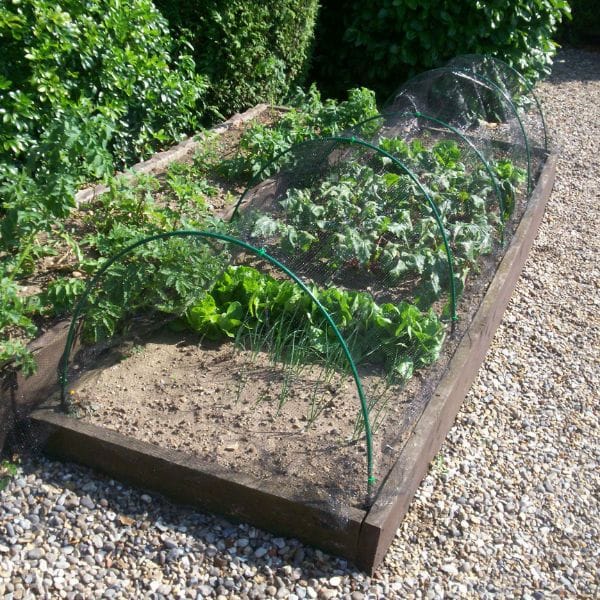 Butterfly Plant Protection Netting - Image 7