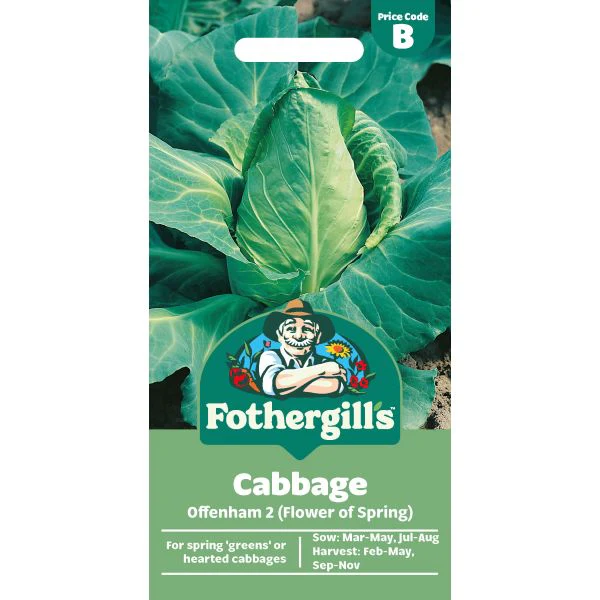 Cabbage Offenham 2 Seeds