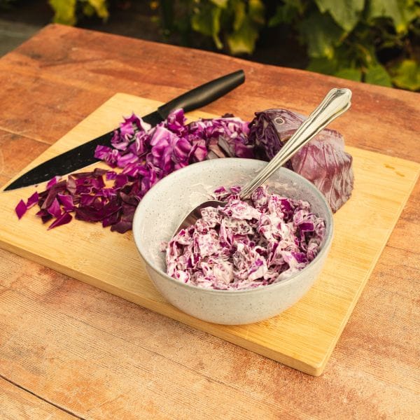 Cabbage Redbowl Vegetable Plants