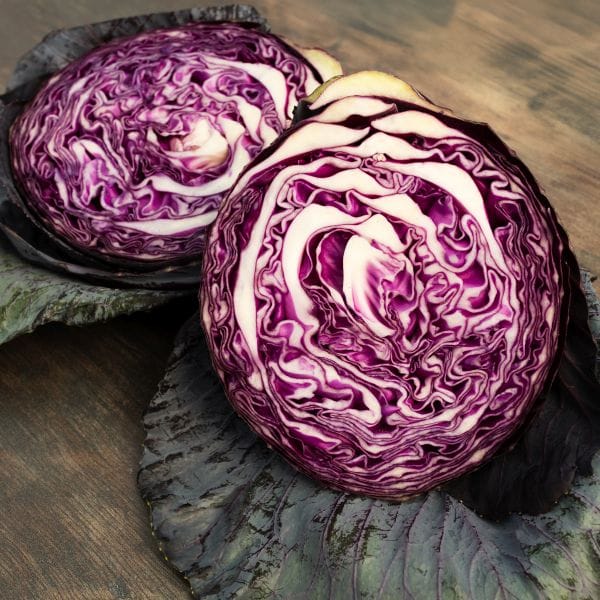 Cabbage Redbowl Vegetable Plants - Image 2