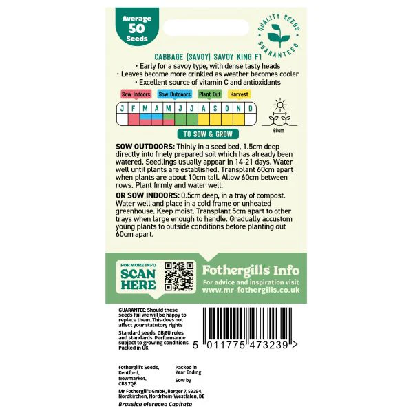 Cabbage Savoy King F1 Seeds - Image 2