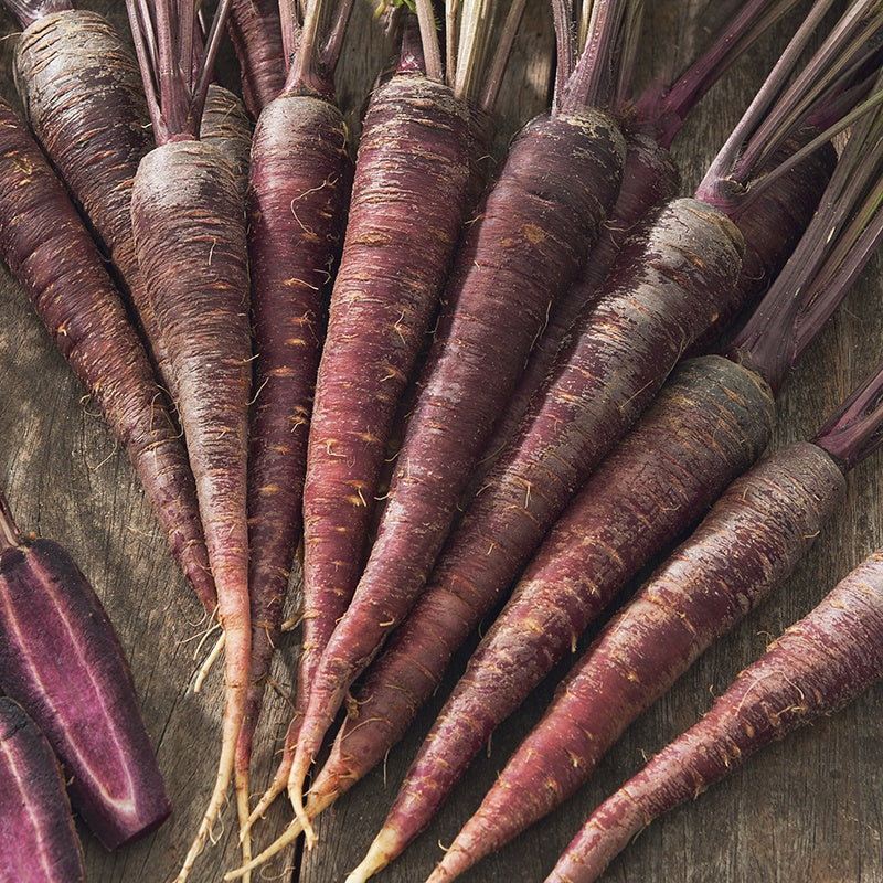 Carrot Purple Sun F1 - Image 3