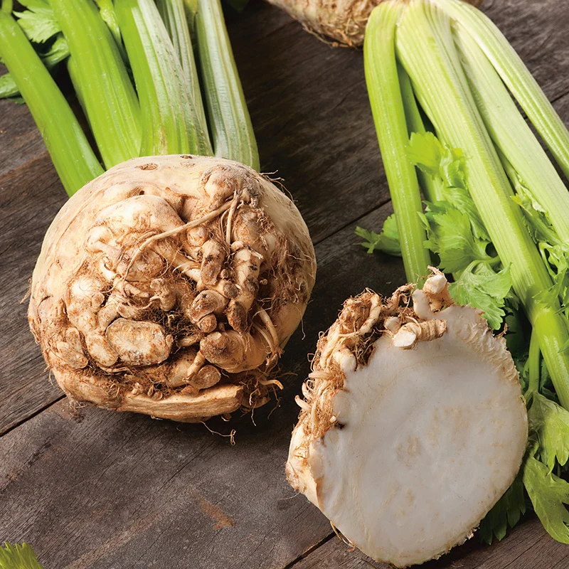 Celeriac Neon F1 Vegetable Seeds - Image 3