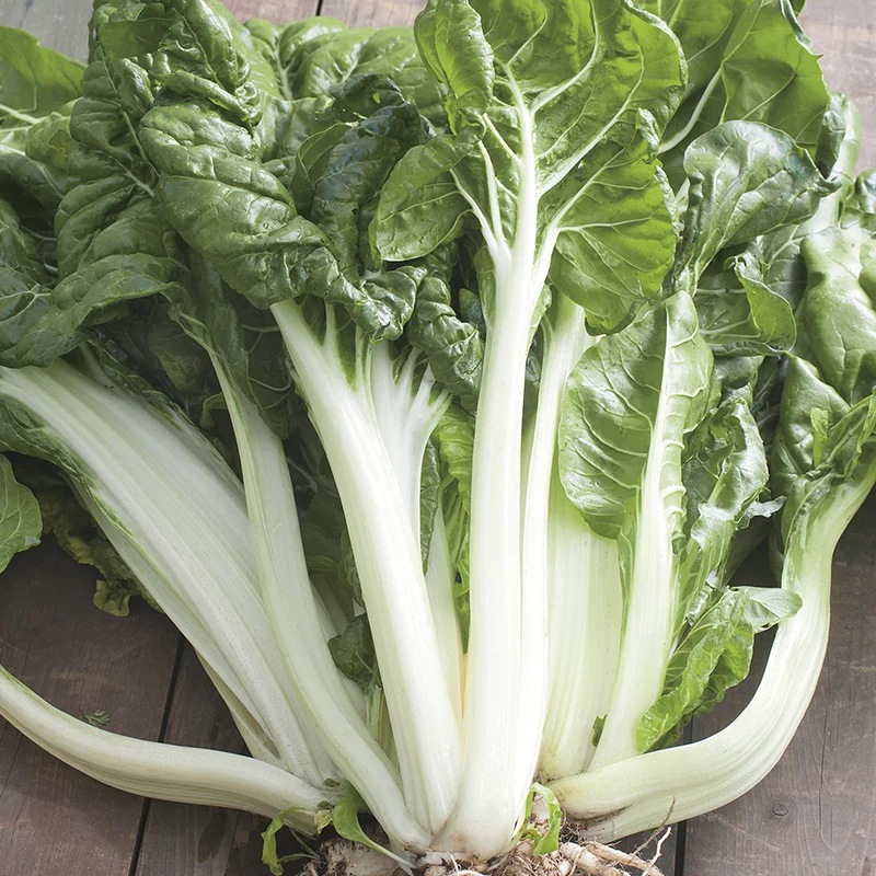 Chard White Silver 2 Seeds - Image 3