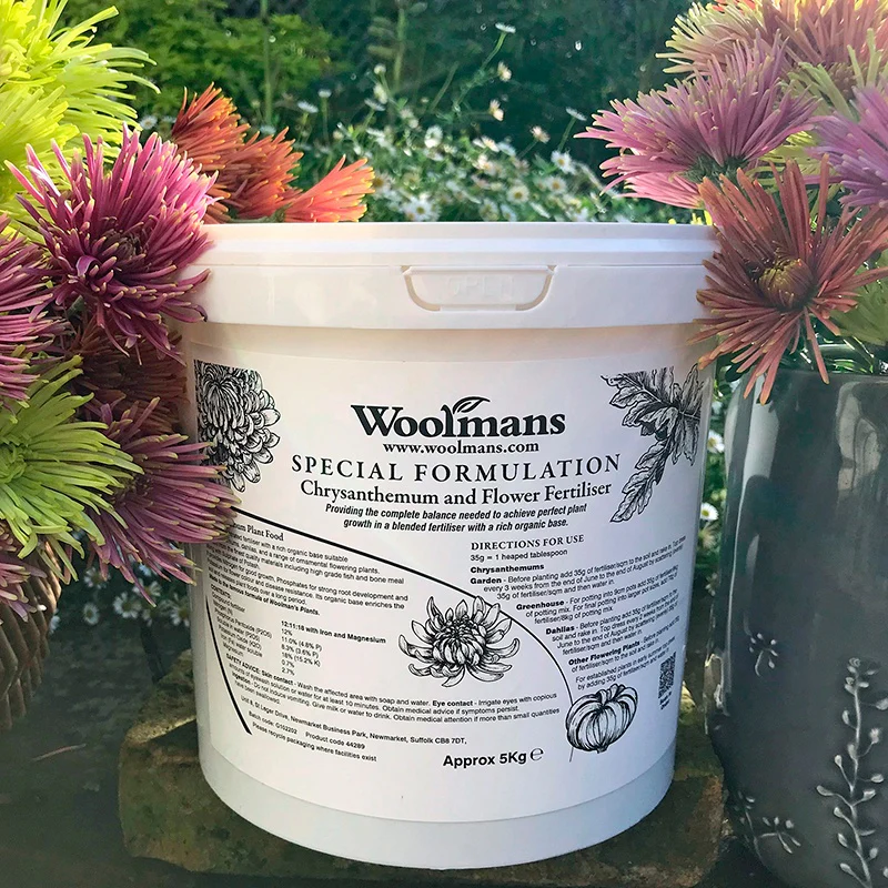 Chrysanthemum and Flower Fertiliser - Image 2