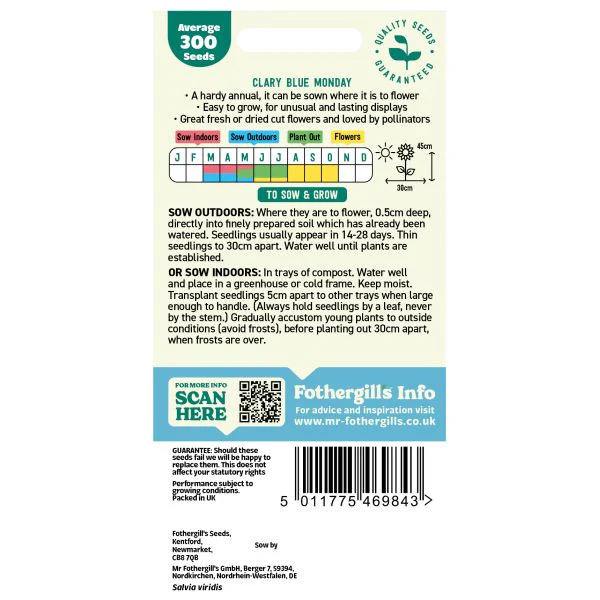 Clary Blue Monday Flower Seeds - Image 2