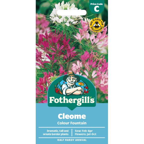 Cleome Colour Fountain Seeds