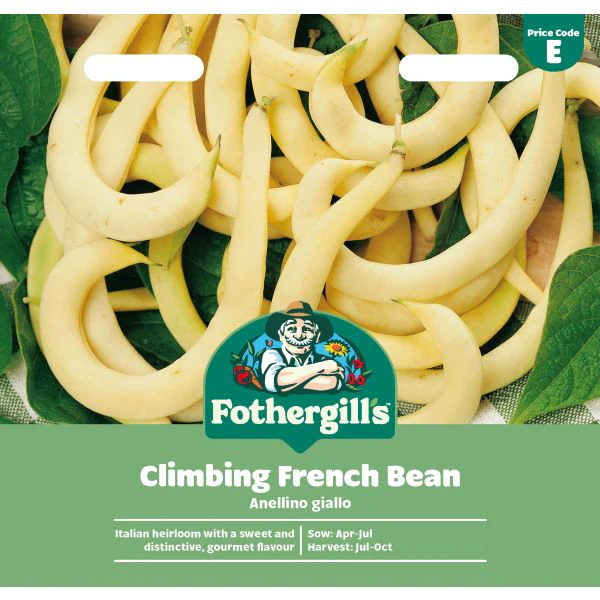 Climbing Bean Anellino giallo Seeds