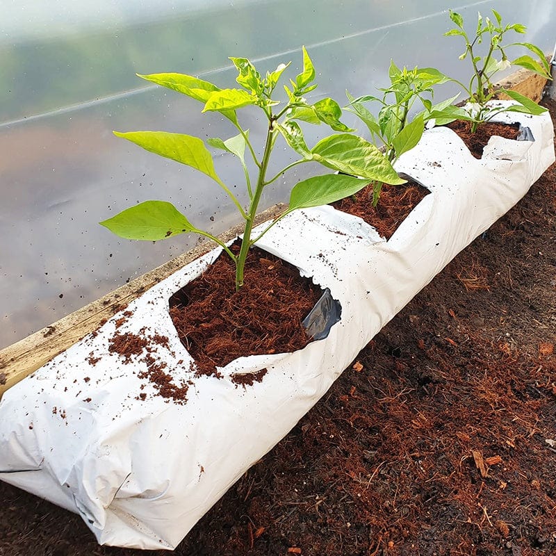 Coir Multipurpose Growbags - Image 2