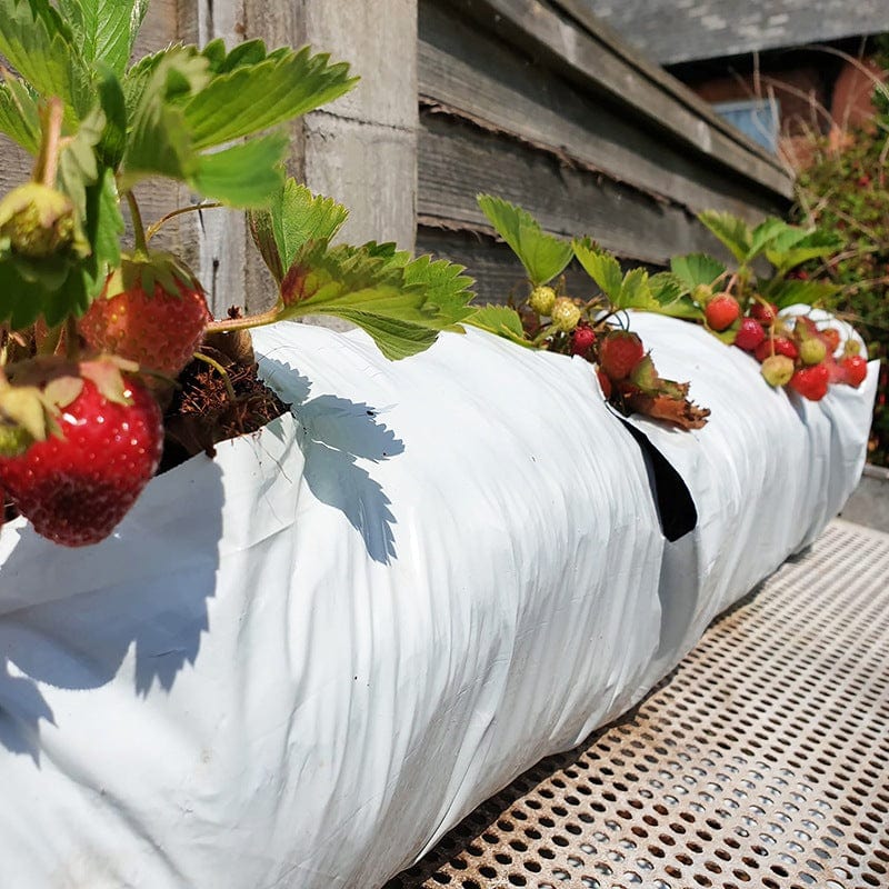 Coir Multipurpose Growbags - Image 3