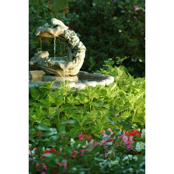 Coleus Sunfighter Electric Lime Flower Plants - Image 2