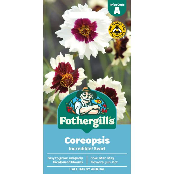 Coreopsis Incredible! Swirl Flower Seeds