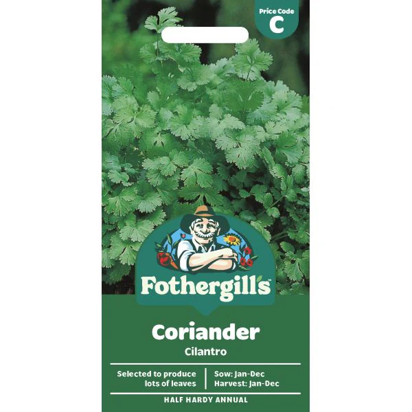 Coriander Cilantro for Leaf Seeds