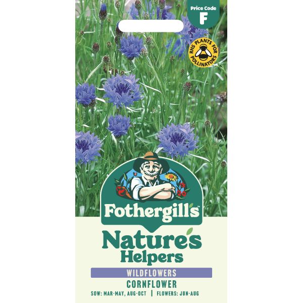 Nature's Helpers Cornflower Wild Cornflower Seeds - Image 4