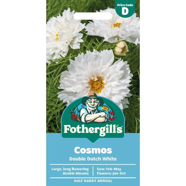 Cosmos Double Dutch White