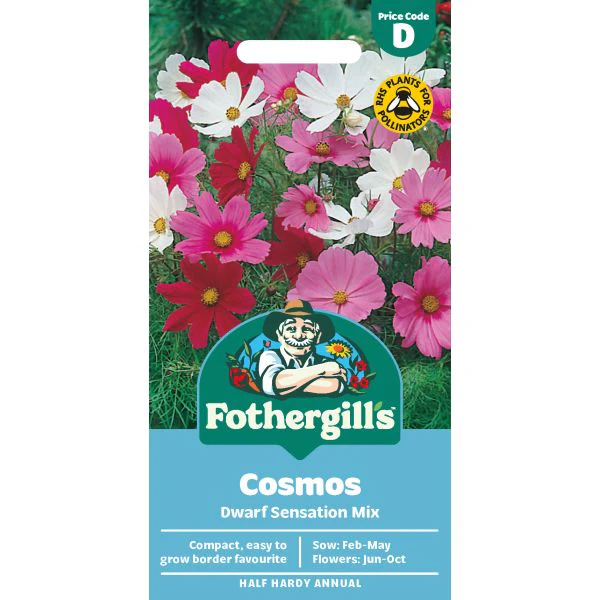 Cosmos Dwarf Sensation Mixed Seeds