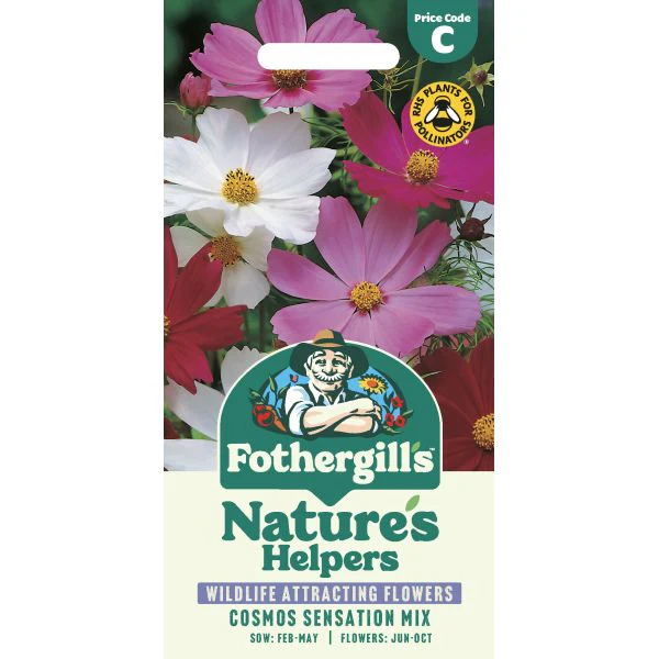 Cosmos Sensation Mixed Seeds
