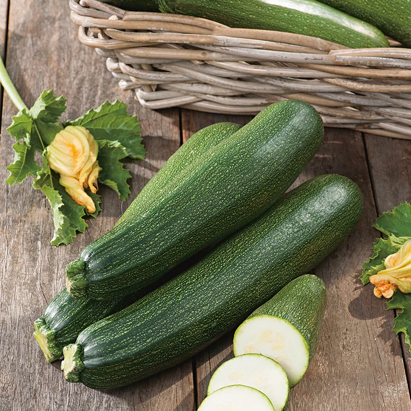 Courgette Blackstar F1 Vegetable Seeds - Image 3