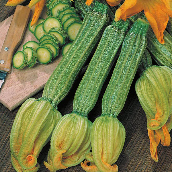Courgette Romanesco Seeds - Image 3