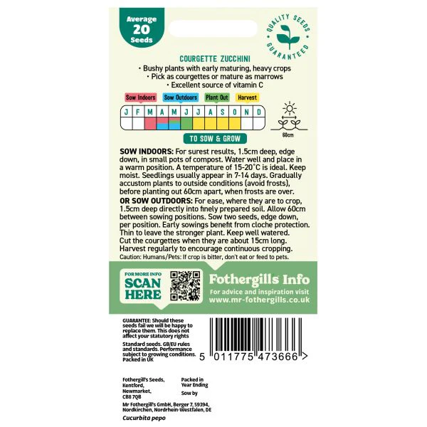 Courgette Zucchini Seeds - Image 2