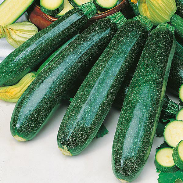 Courgette Zucchini Seeds - Image 3
