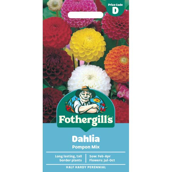 Dahlia Pompon Mixed Seeds