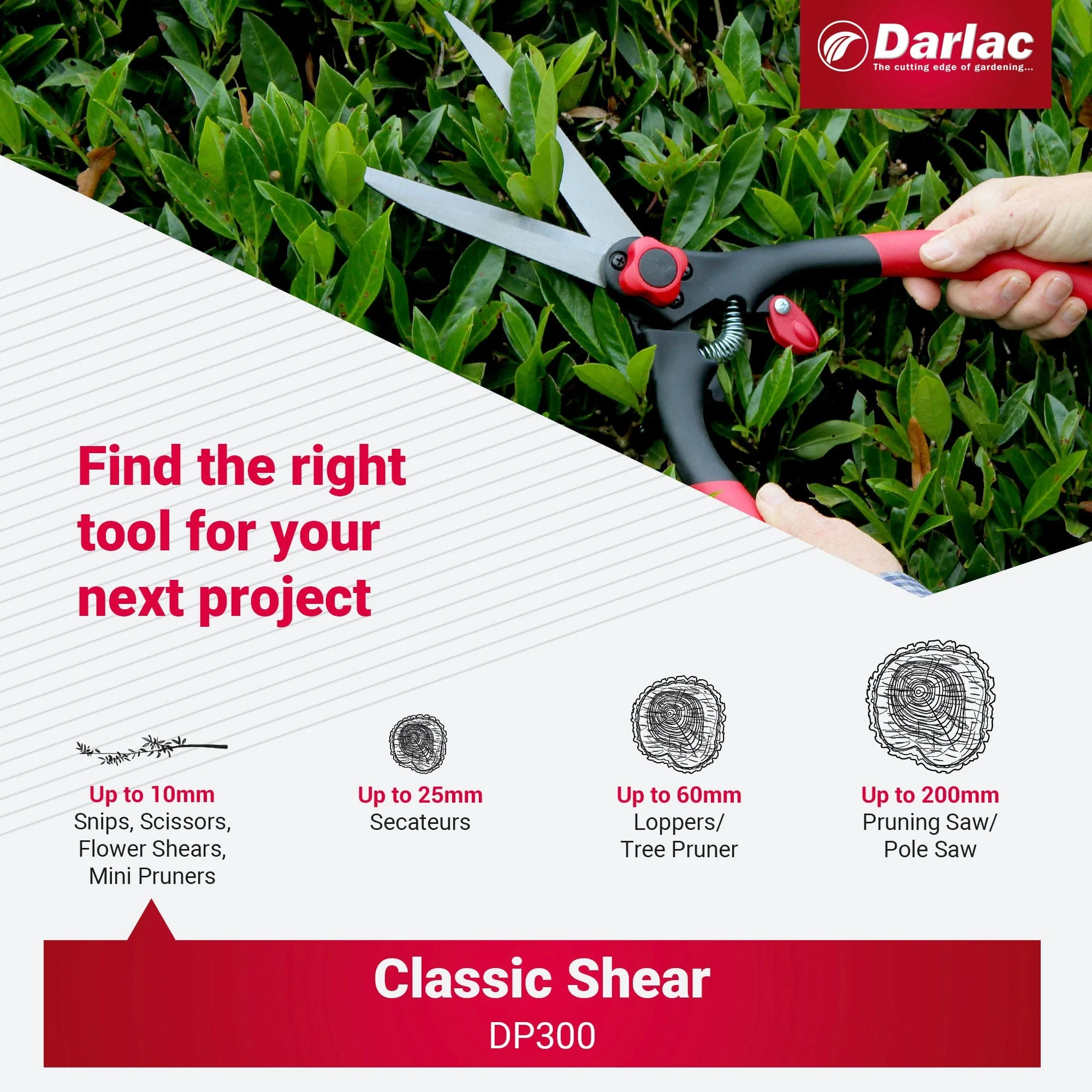 Darlac Classic Shear - Image 6