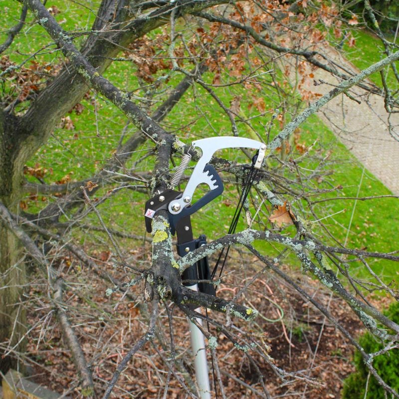 Darlac Expert Geared Bypass Tree Pruner - Image 4