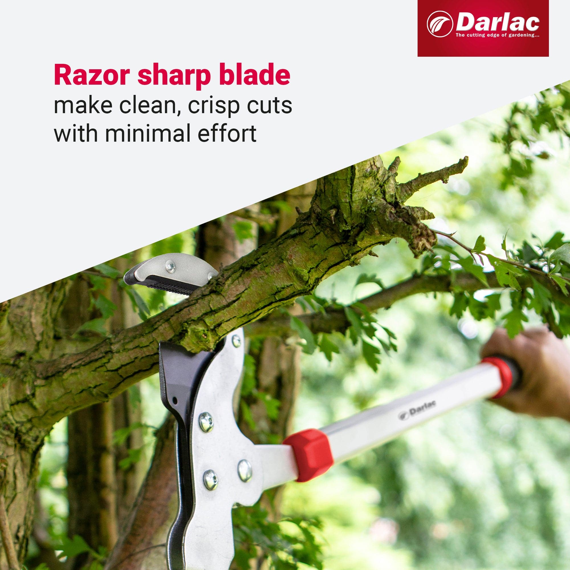 Darlac Heavy Duty Geared Anvil Lopper - Image 4