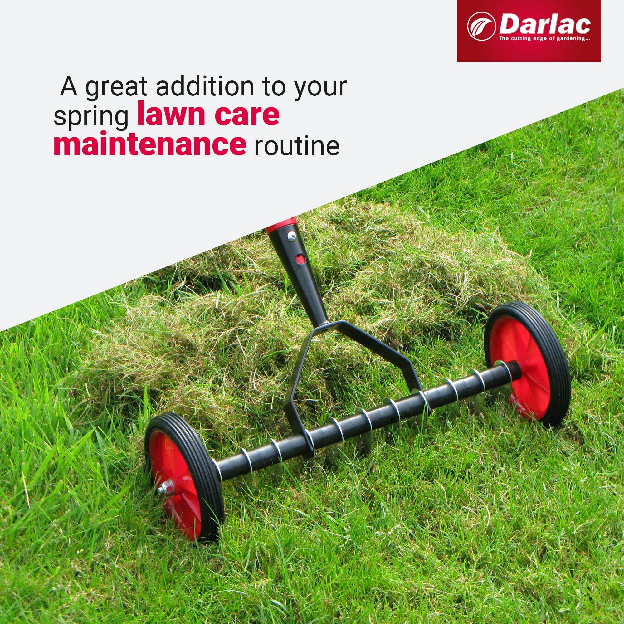 Darlac Lawn Scarifier - Image 4