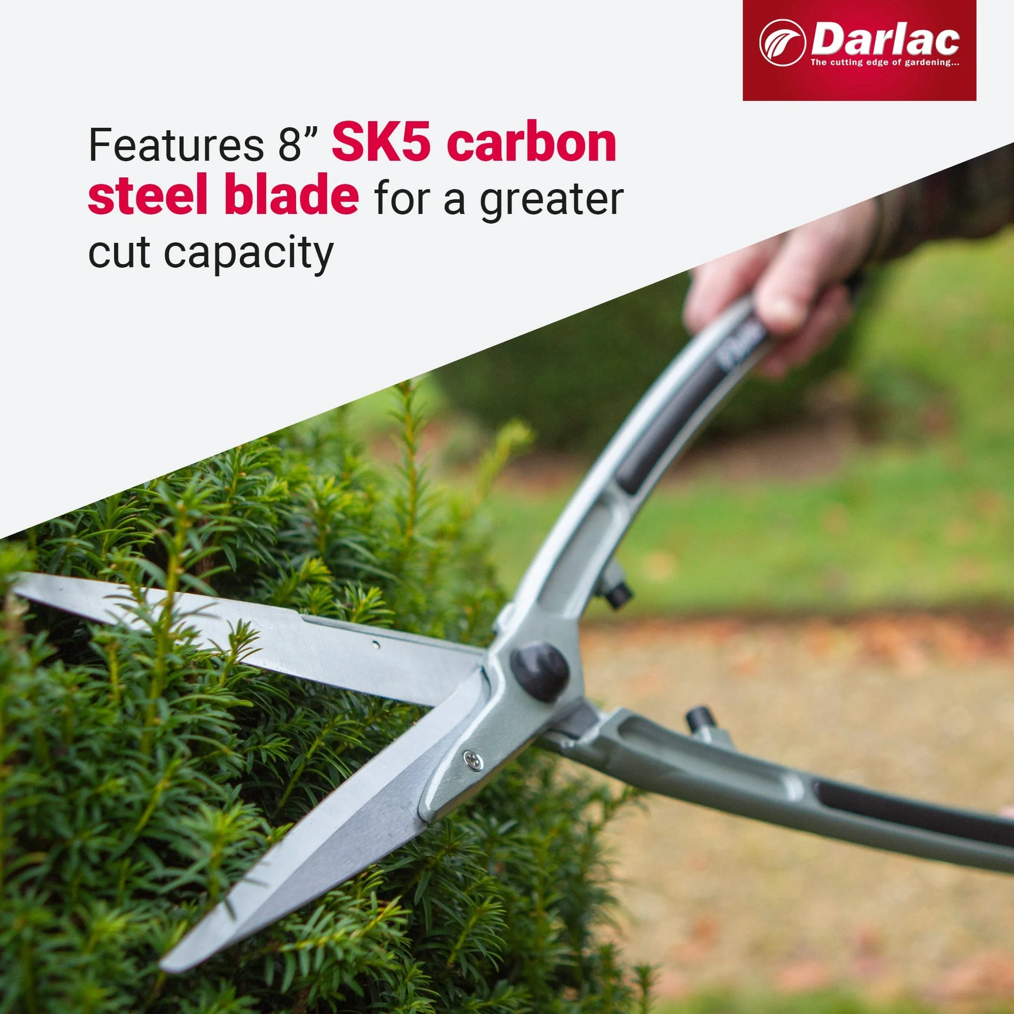 Darlac Lightweight Shear 8in - Image 4