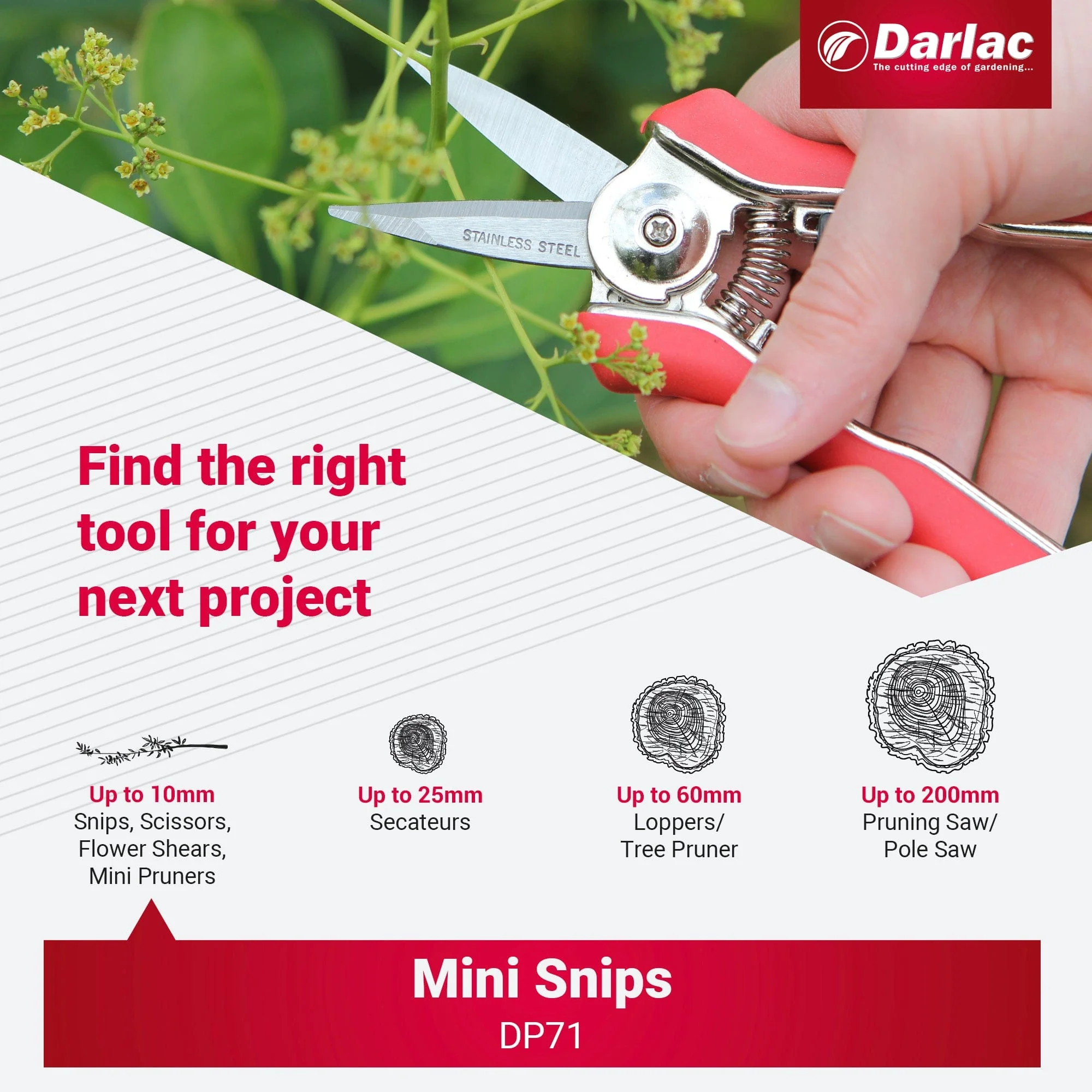 Darlac Mini Snips - Image 6