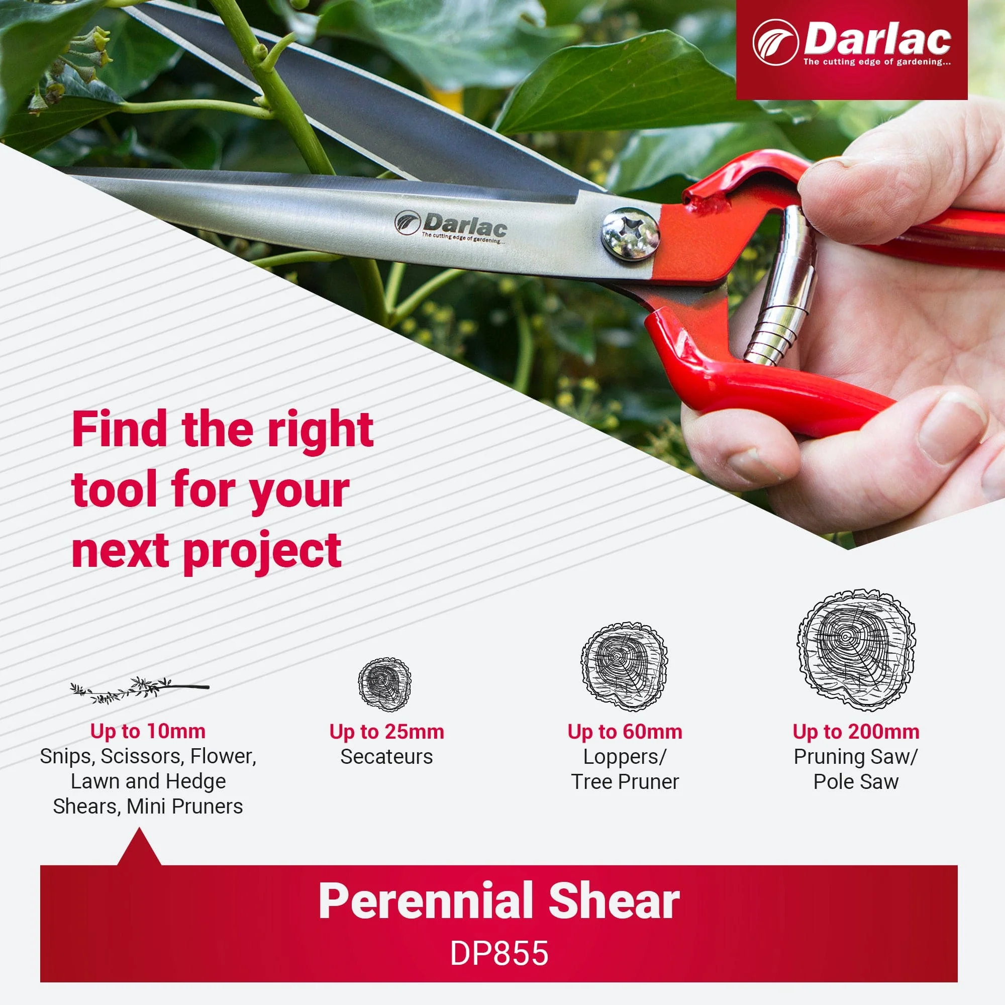 Darlac Perennial Shear - Image 6