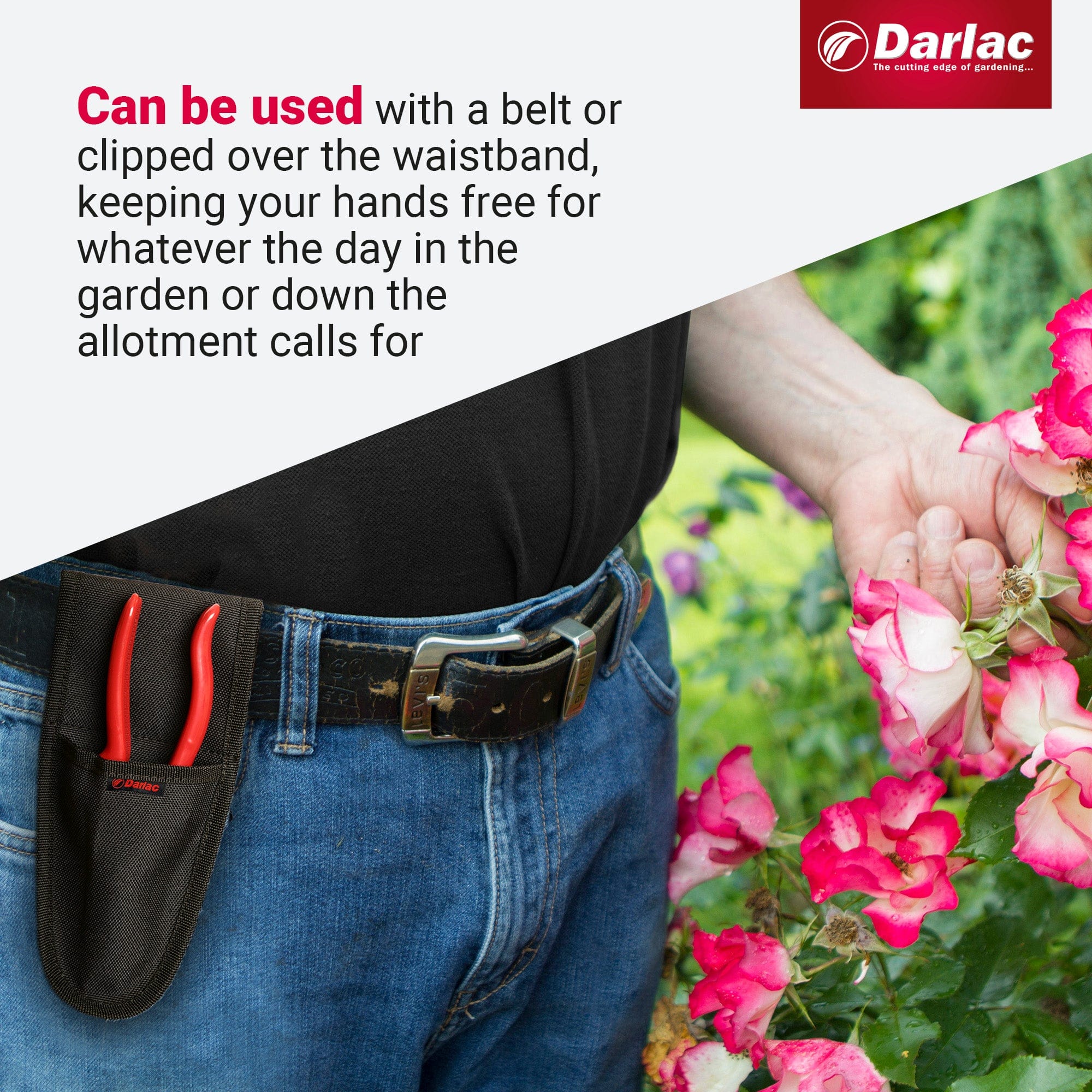 Darlac Tool Holster - Image 4