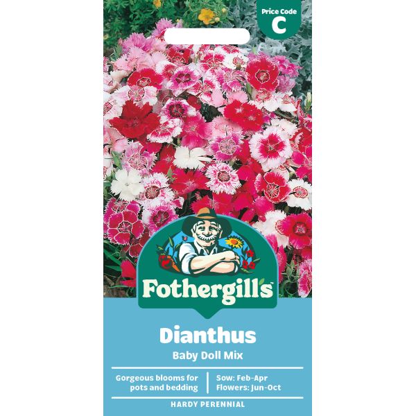 Dianthus Baby Doll Mixed Seeds