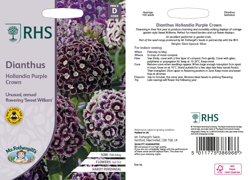Dianthus Hollandia Purple Crown Flower Seeds - Image 2